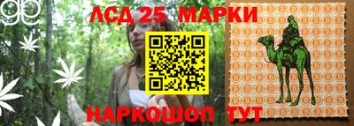 твердый Заводоуковск