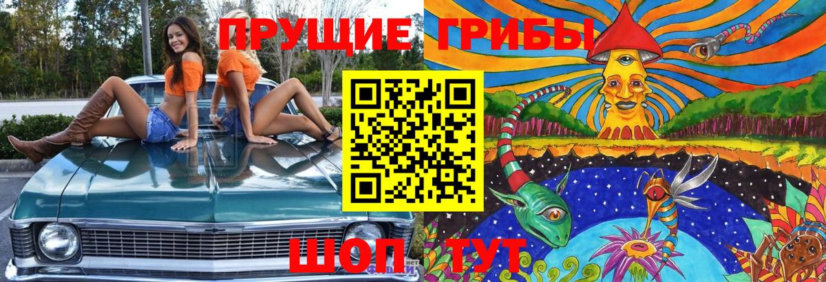 Лыткарино  Псилоцибиновые грибы Cubensis  Вход с VPN 